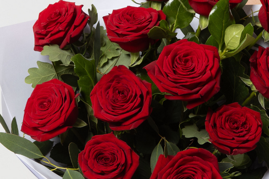 The Language of Flowers: The Meanings Behind Popular Valentine's Day Blooms