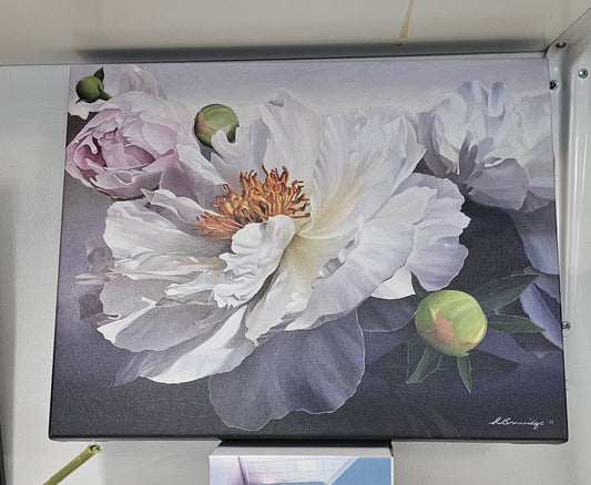 Paintings - Floral - Broadfield Flowers Florist Lincoln