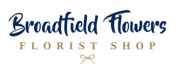 Broadfield Flowers Florist Lincoln