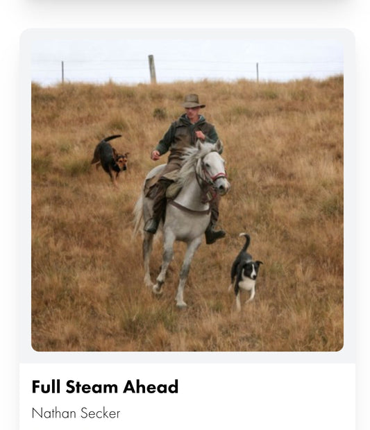 Paintings - Prints - Full Steam Ahead - Broadfield Flowers Florist Lincoln