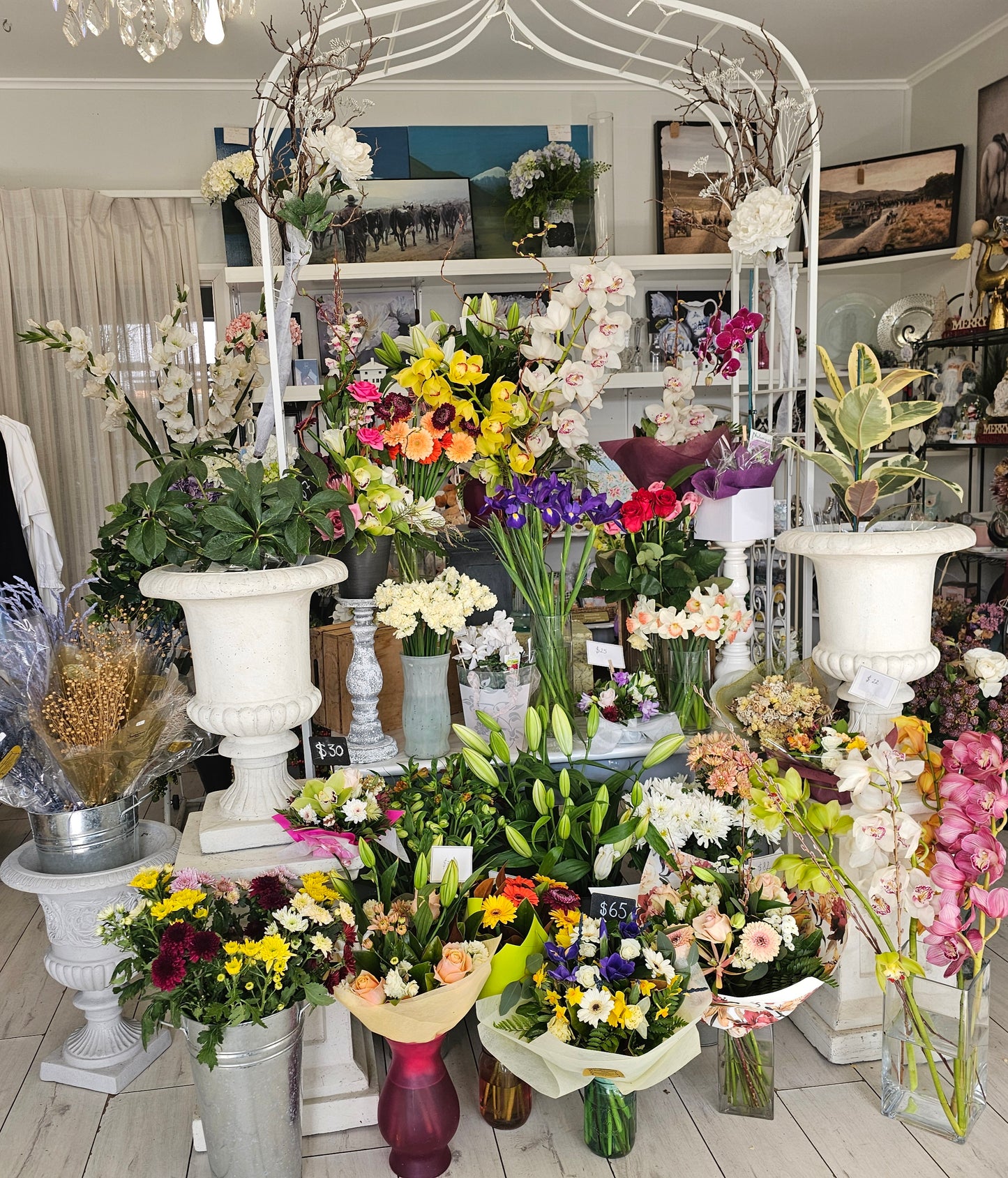 Flowers on display in the shop for sale