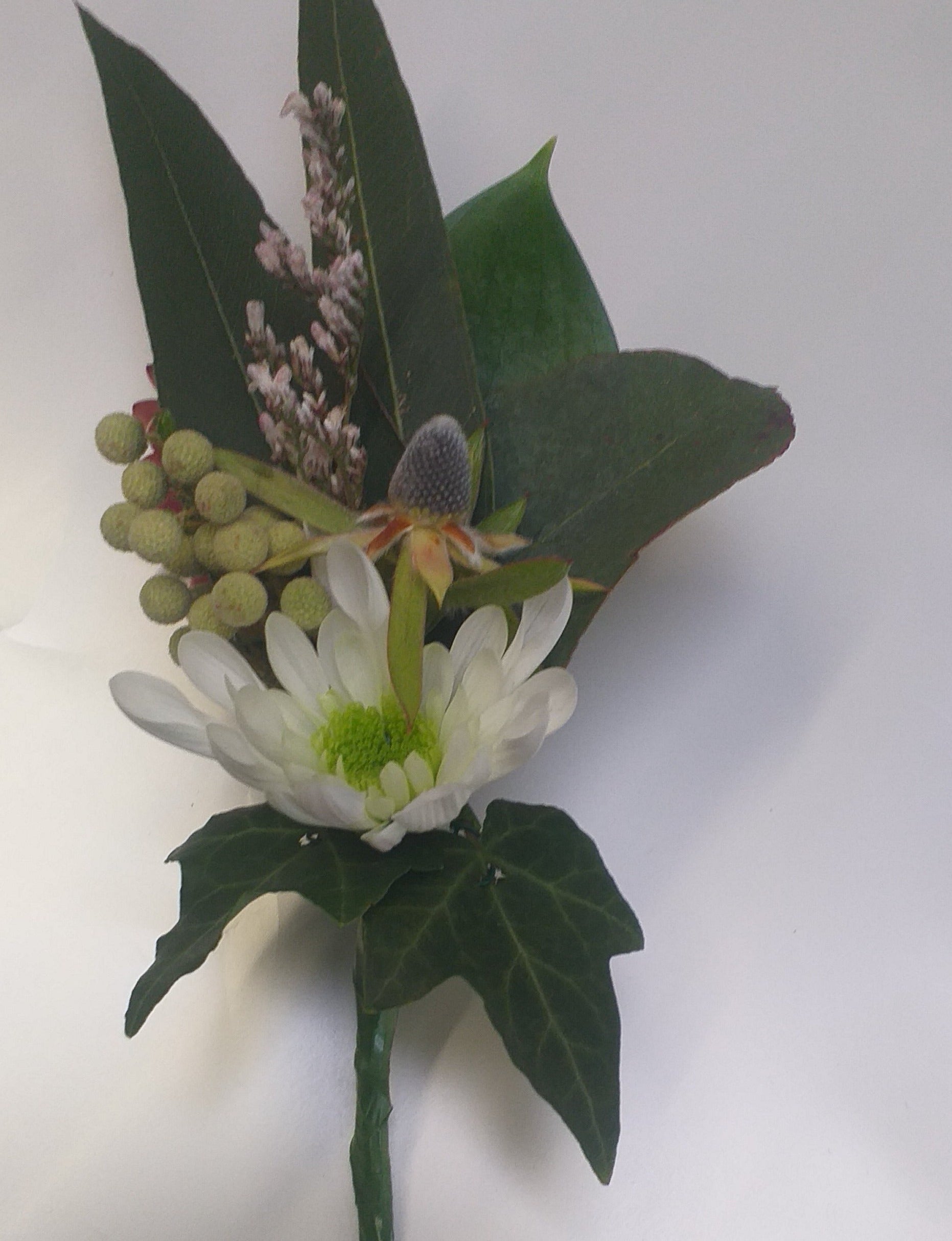 Buttonhole, white chrysanthemum, leuc bud, limonium,gum and ivy leaves, berries