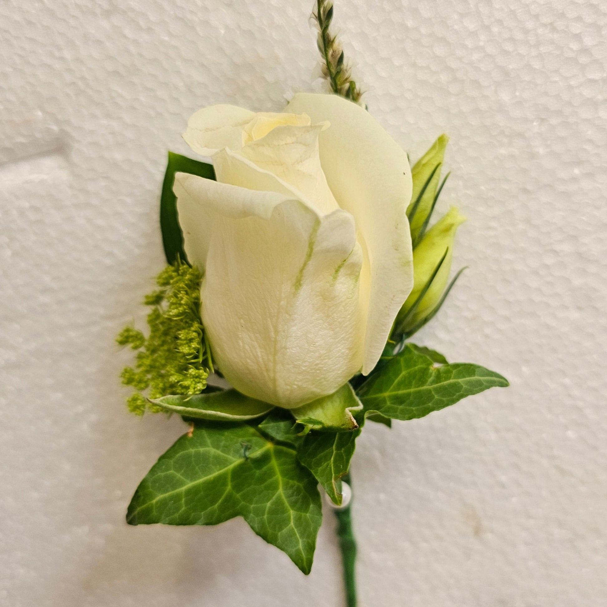 Wedding Buttonhole white rose, lissianthus buds, pieris bud, ivy leaves,