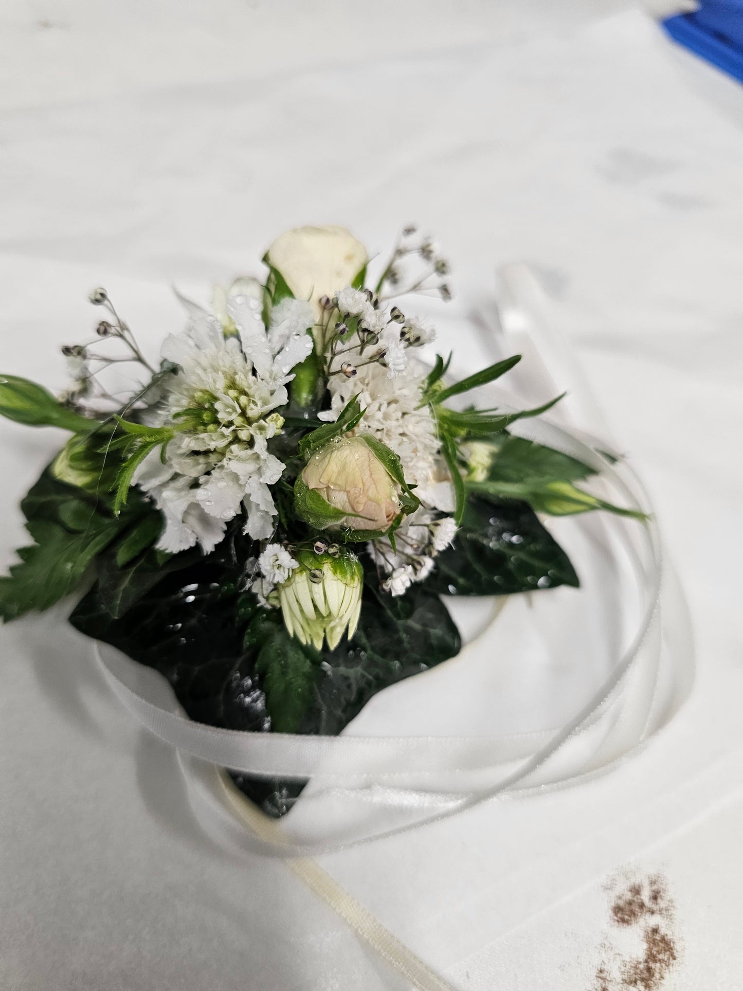 Wedding Flowers or Ball, Wrist Corsages - Broadfield Flowers Florist Lincoln