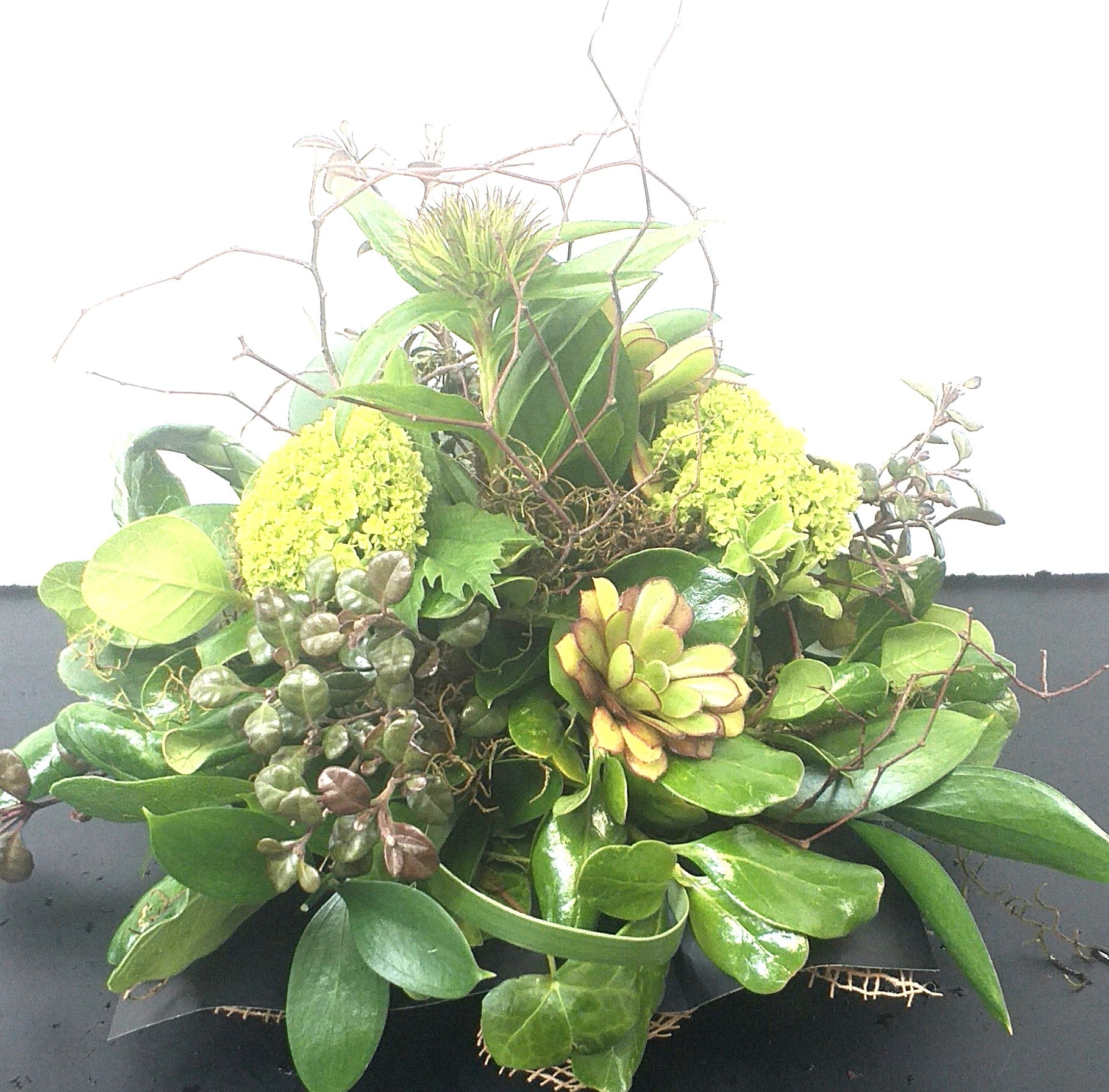 Flowers in a Container - Broadfield Flowers Florist Lincoln