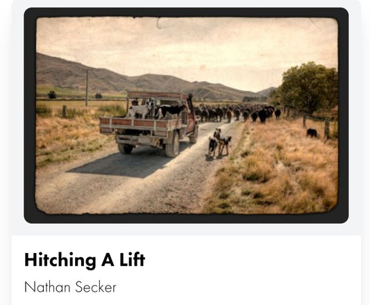 Paintings - Prints - Hitching a Lift - Broadfield Flowers Florist Lincoln