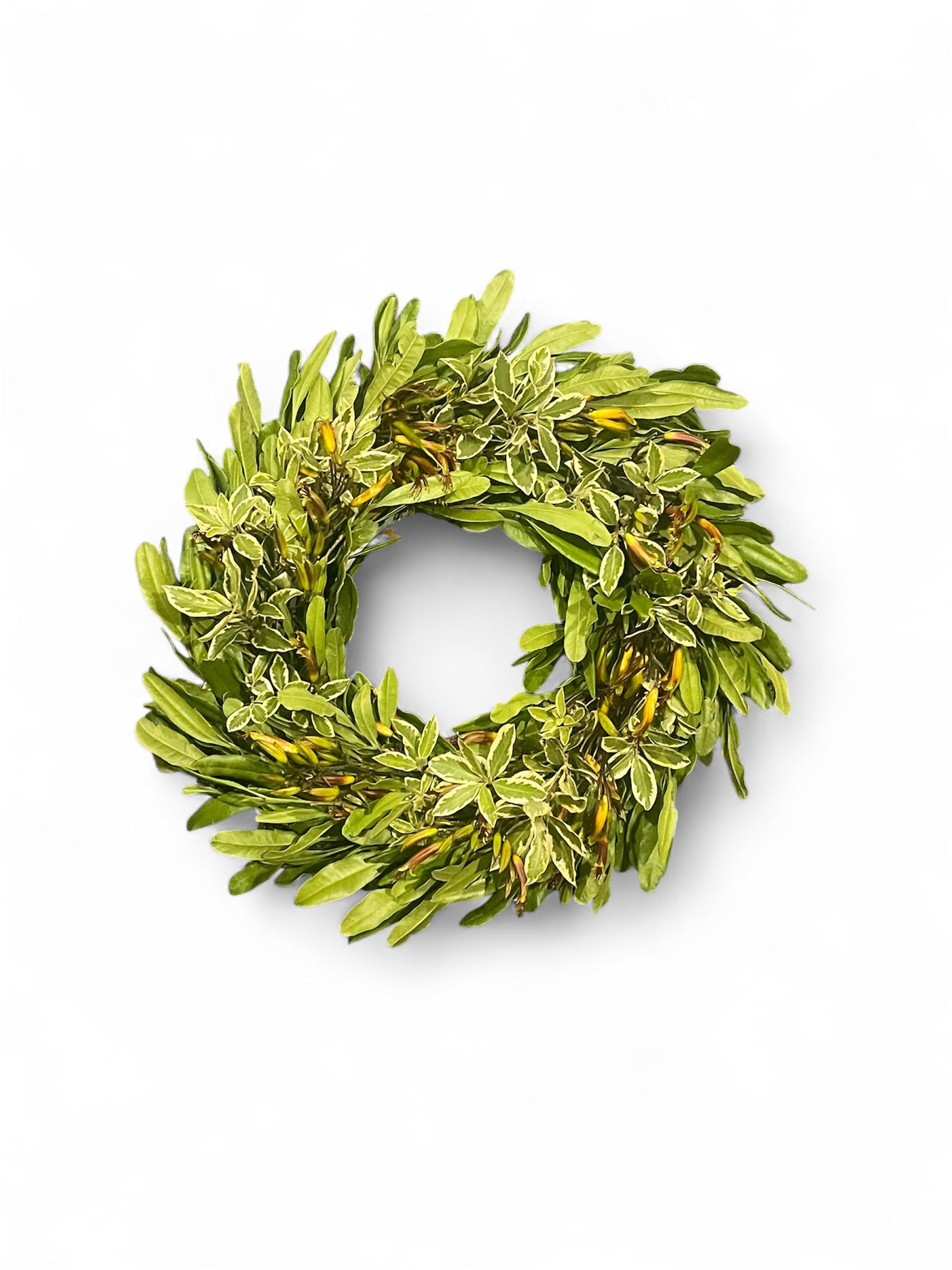Wreaths white,yellow, red and white, green, christmas, 6 styles