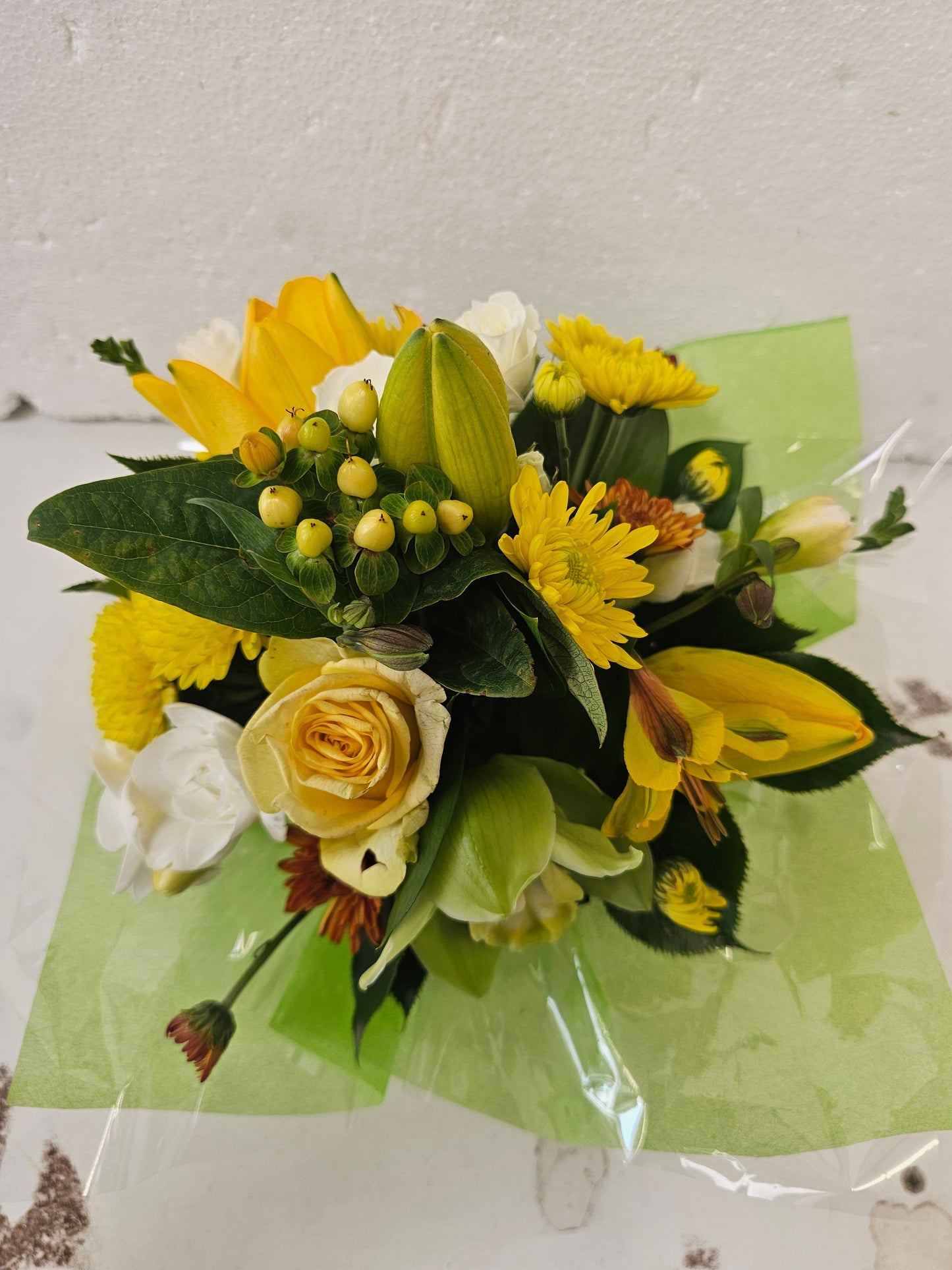Oasis Gardens for Rest Homes, Hospital bedsides, grave sides or small gifts