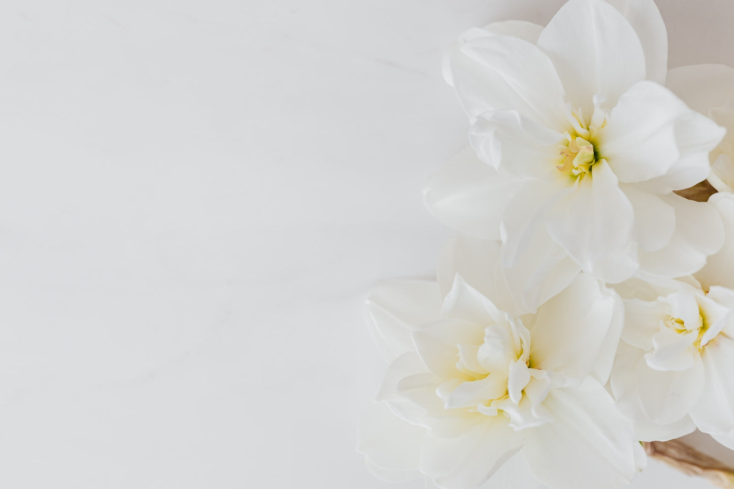 Broadfield Flowers Gift Voucher - Broadfield Flowers Florist Lincoln