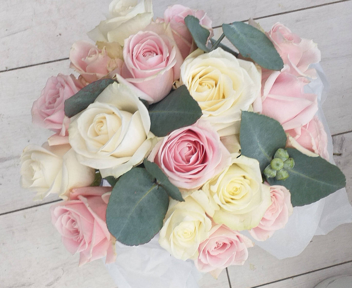 Bridal bouquet of pink and white roses and silver dollar gum