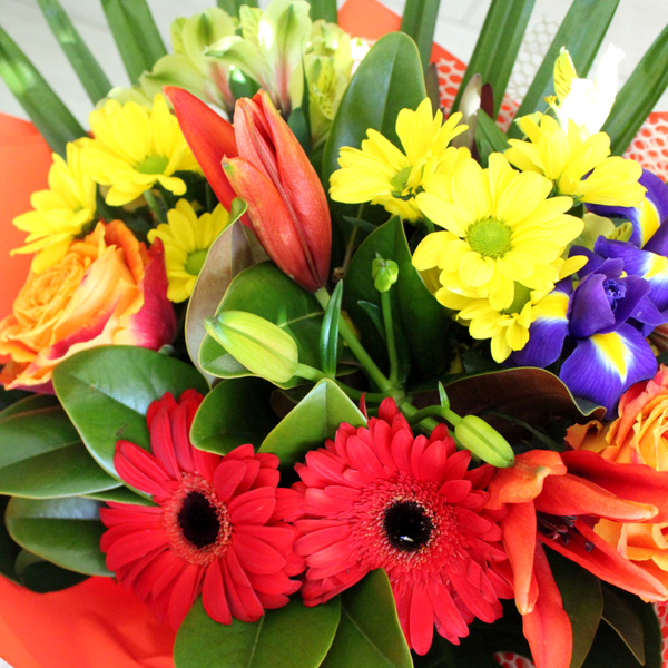 Bright and Bold bouquet, orange and pink roses, yellow chrysanthemums, blue and yellow iris, red gerberas, yellow alstroemeria, yellow palm, astatic lily. Wrapped in red and white.