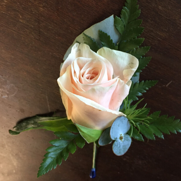 Single Rose Buttonhole - Broadfield Flowers Florist Lincoln