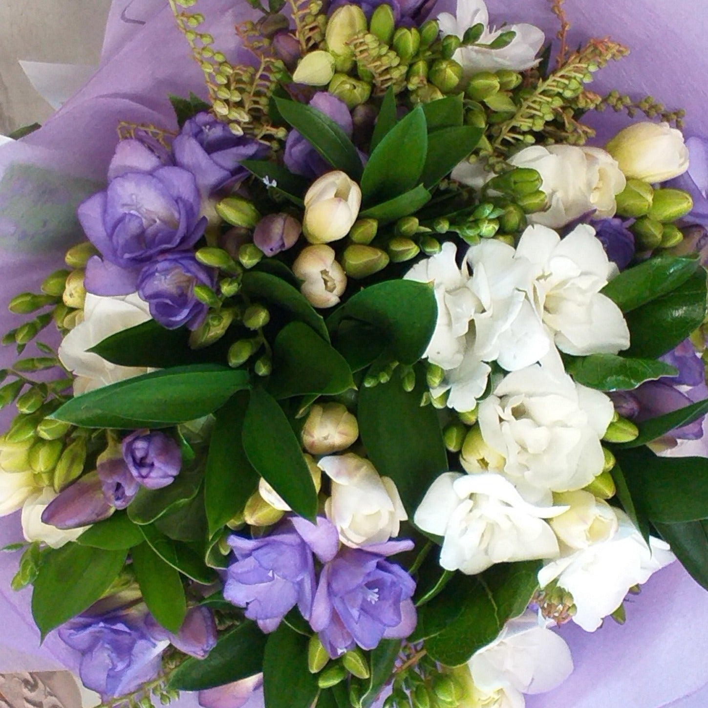 Freesia flower Posy bouquet, white, red, pink, yellow freesias depending on availability wrapped in matching colour