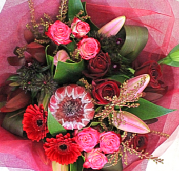 Magenta Mood flower bouquet, protea, lily, roses, spray roses, gerberas, red, pink, leucadendron- Broadfield Flowers Florist Lincoln