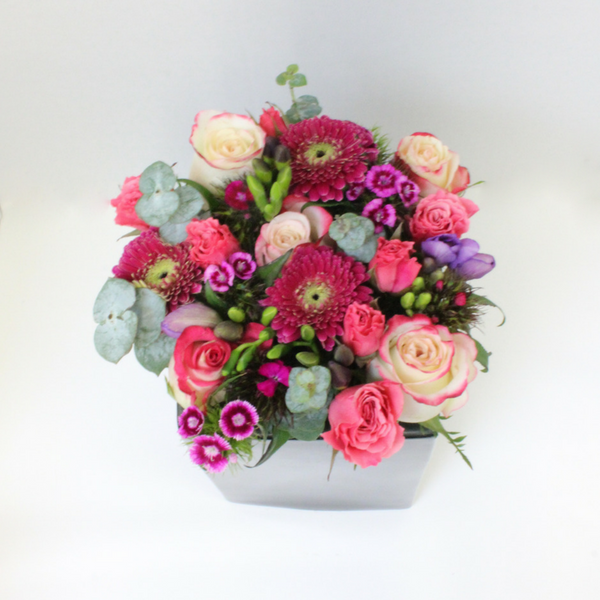 Pretty in a pot - Broadfield Flowers Florist Lincoln