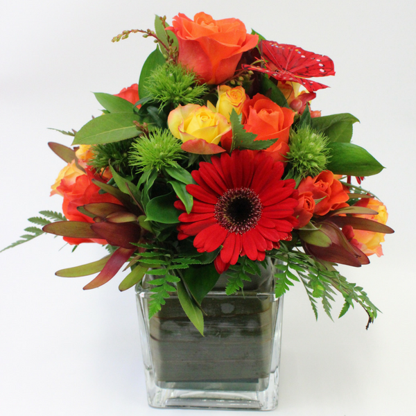 Arrangement in a Vase in yellow, orange, red and green. roses, gerberas, roses, leucs and butterflies - Broadfield Flowers Florist Lincoln