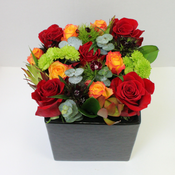 Pretty in a pot - Broadfield Flowers Florist Lincoln