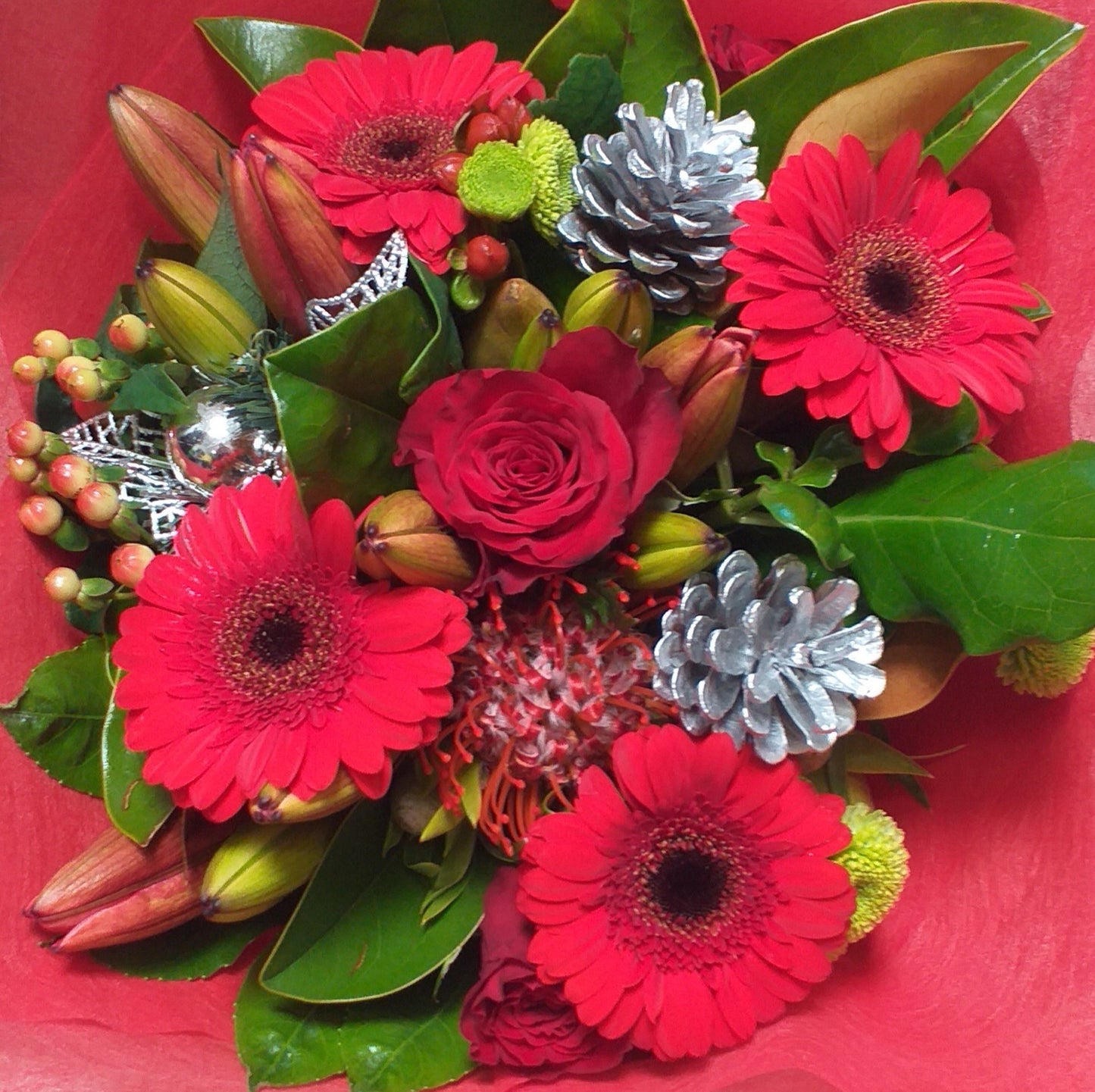 Christmas cheer, red gerberas, red rose, red lilies, berries and silver cones wrapped in red