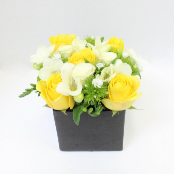 Pretty in a pot - Broadfield Flowers Florist Lincoln
