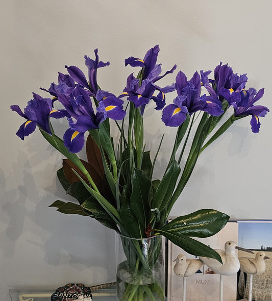 IRISES, beautiful blue irises.