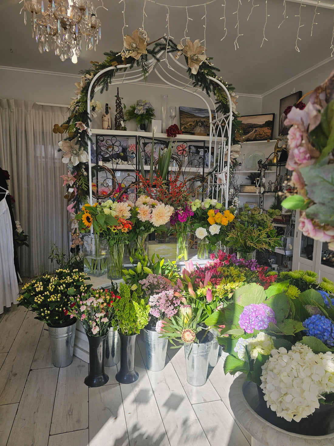 A selection of flowers ready for orders for Mother's Day