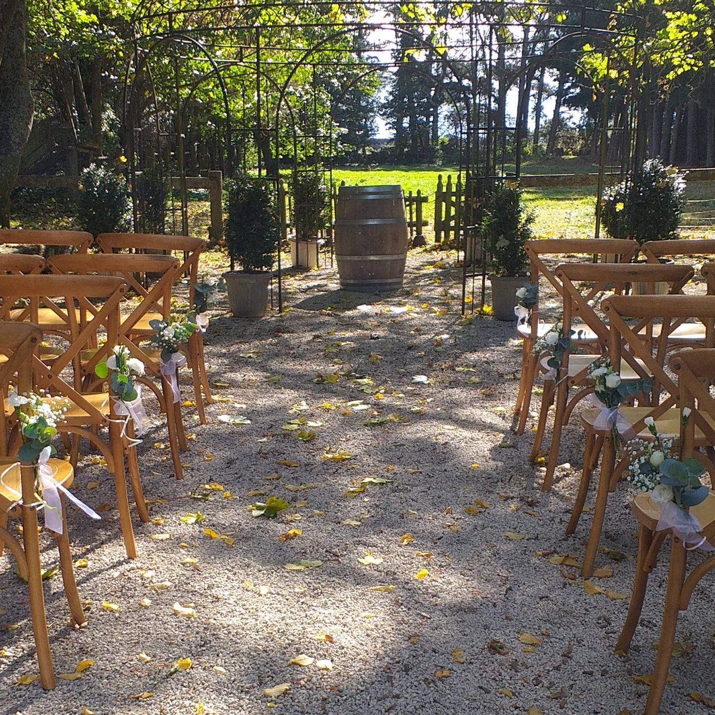 posy of gypsophila, roses and gum to decorate the back of chairs