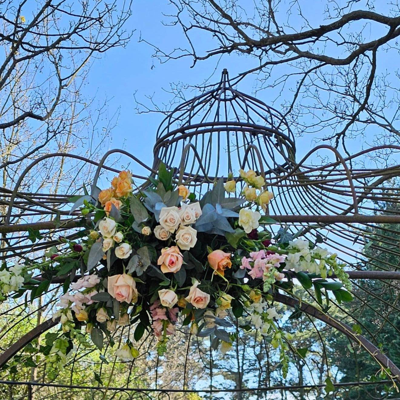 Wedding arch decoration of apricot and pink roses, white antirinums and blue gum