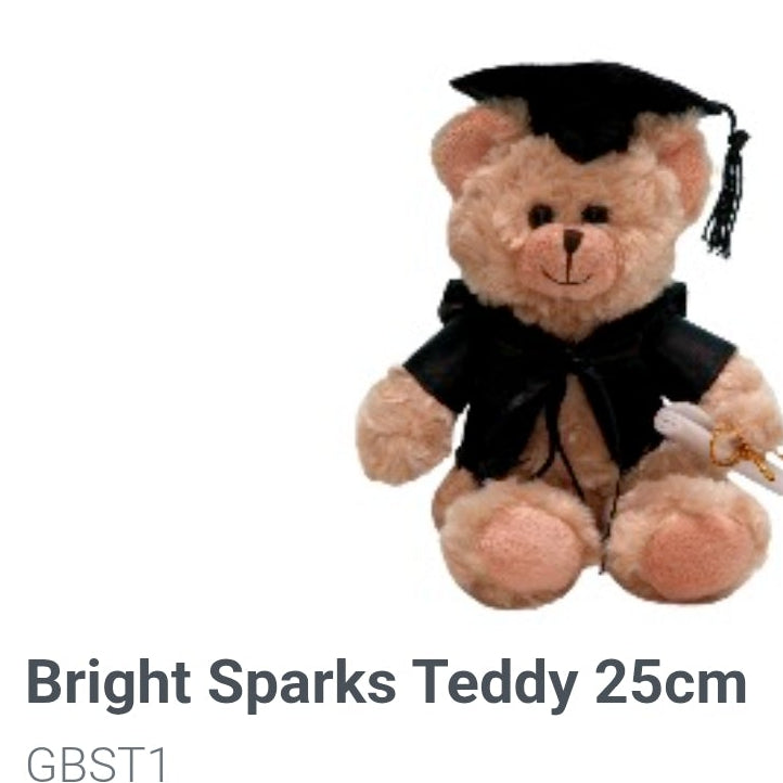  teddy bear graduation toy 