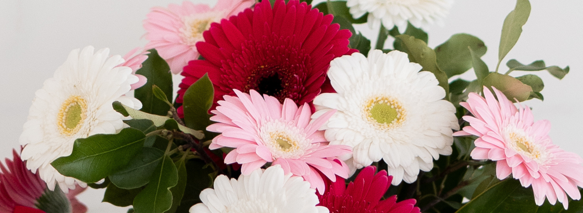 Broadfield Flowers Florist Lincoln | Flower Bouquets & Gifts