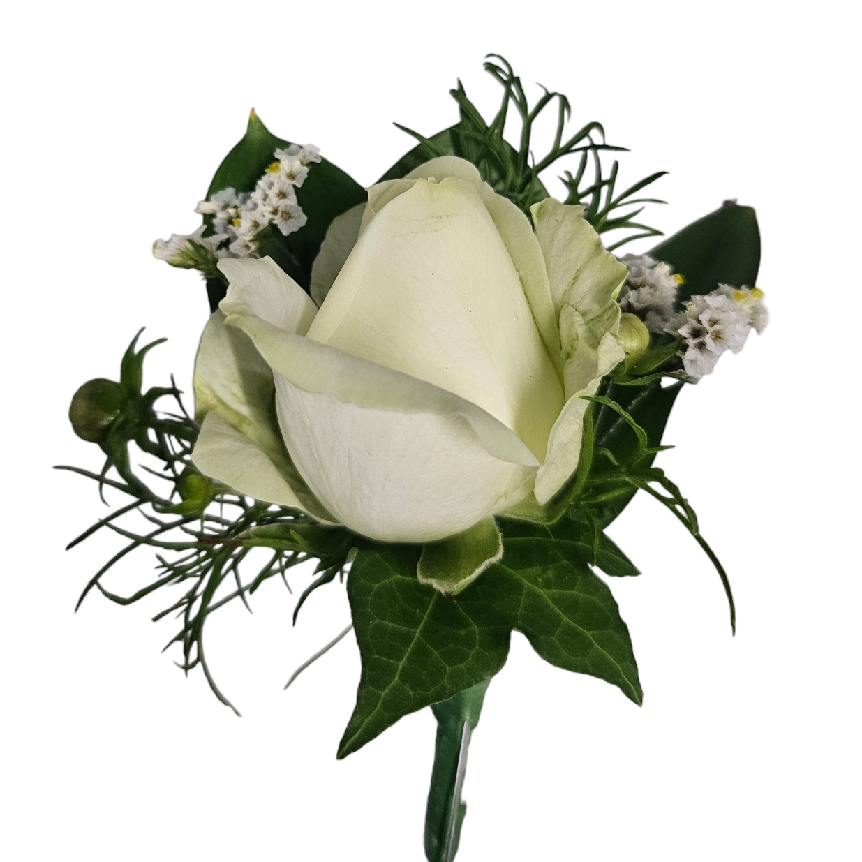 A white rose boutonniere with green leaves and small white filler flowers
