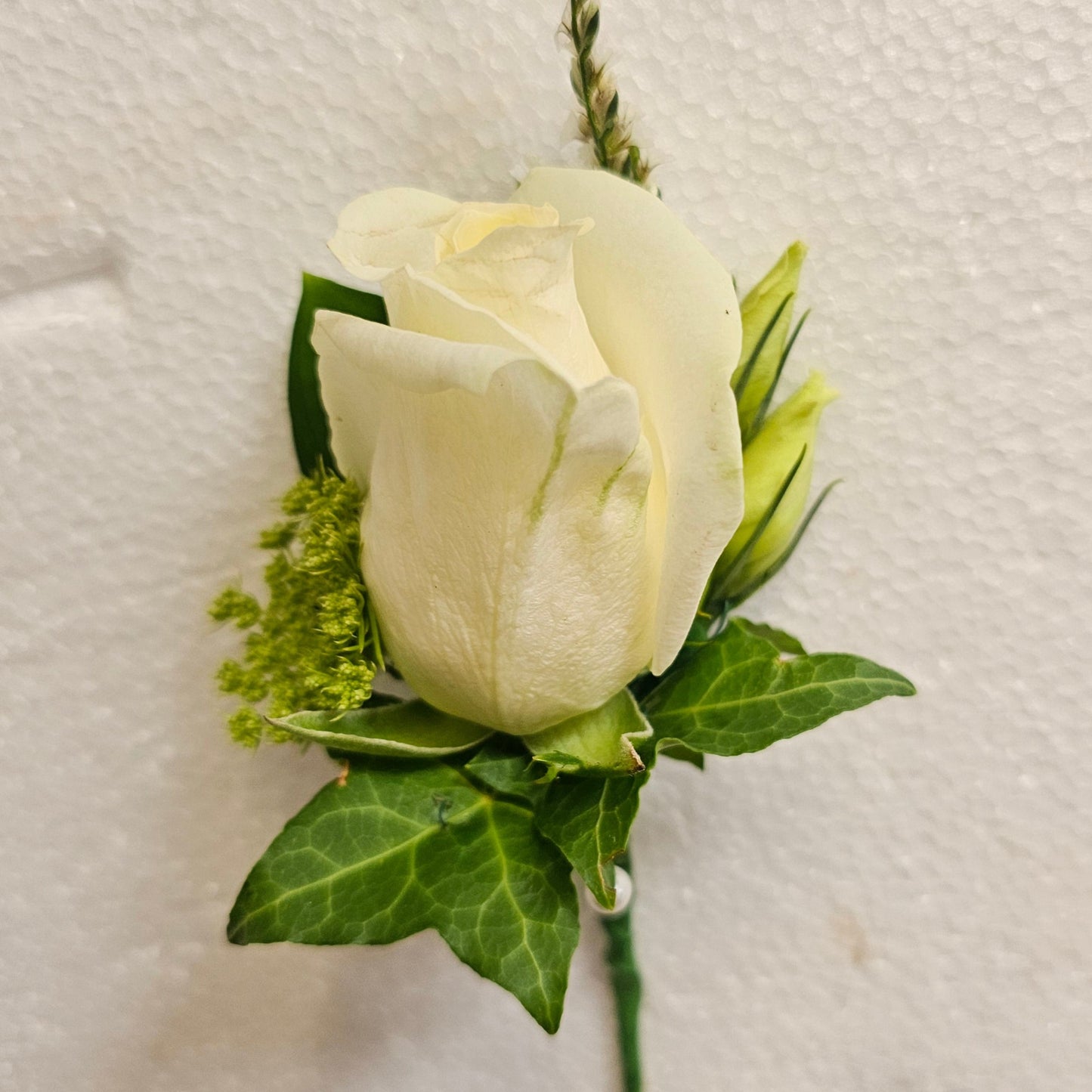 Wedding Buttonhole white rose, lissianthus buds, pieris bud, ivy leaves, 