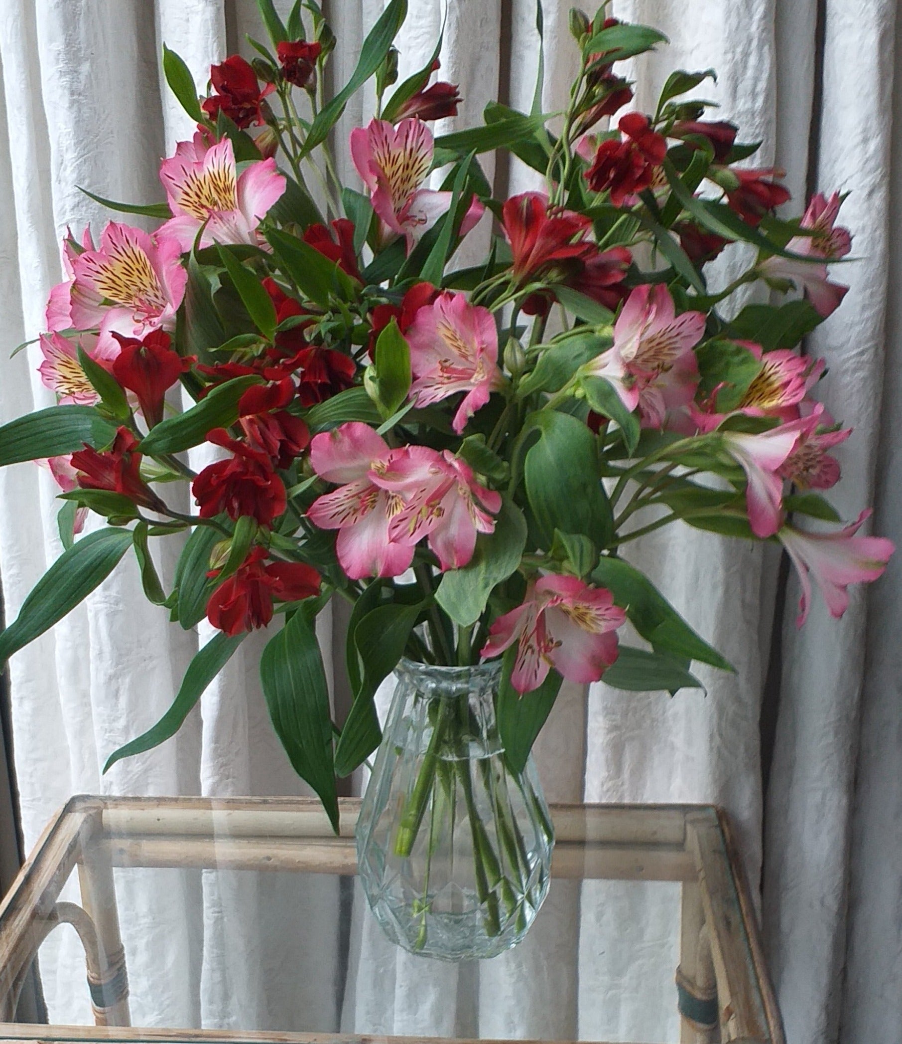 Vase of alstromeria for the home