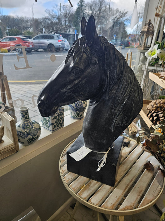 Horse head