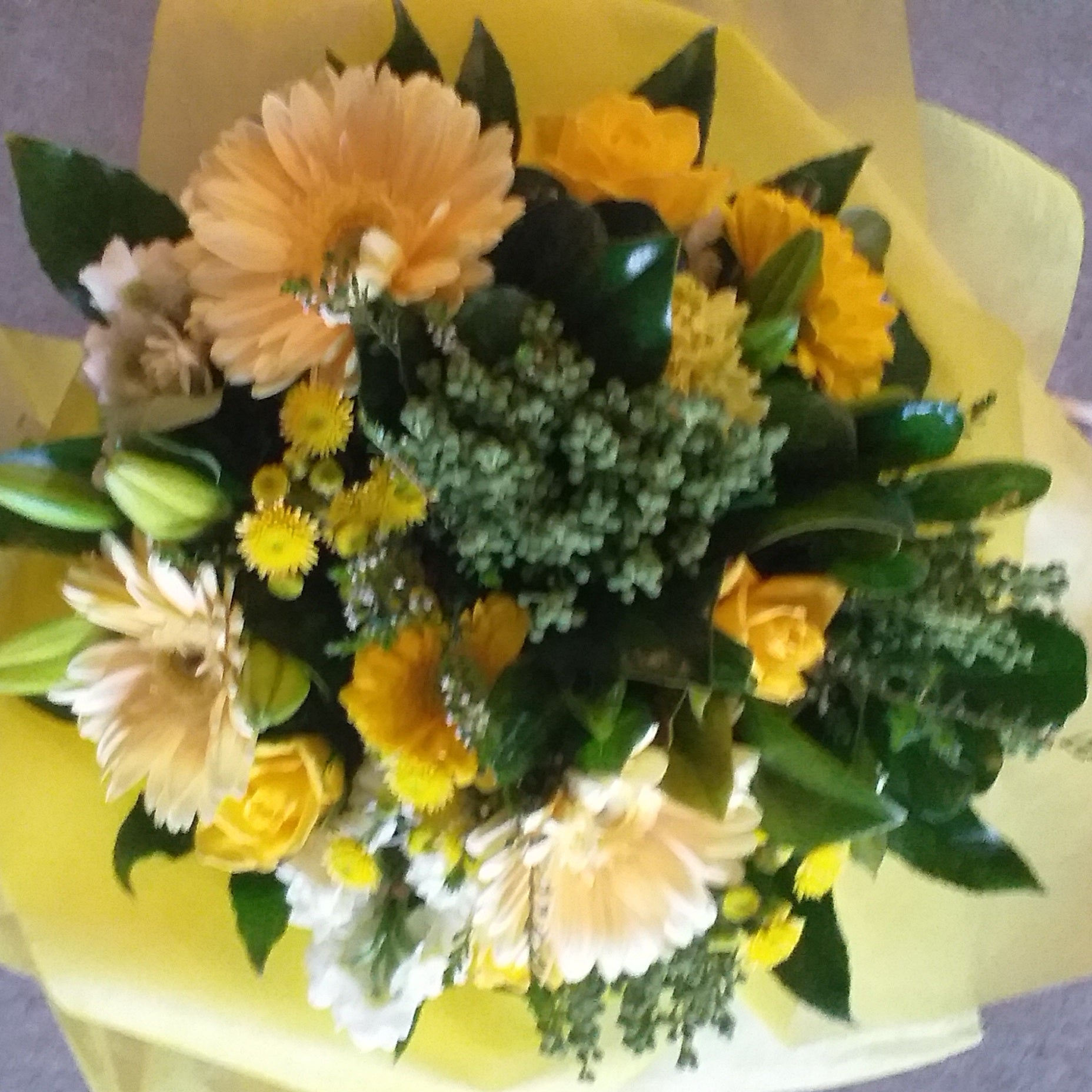 Lemon Delight - Broadfield Flowers Florist Lincoln
