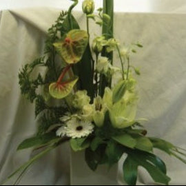 line arrangement in green and white