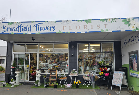 An introduction to Broadfield Flowers