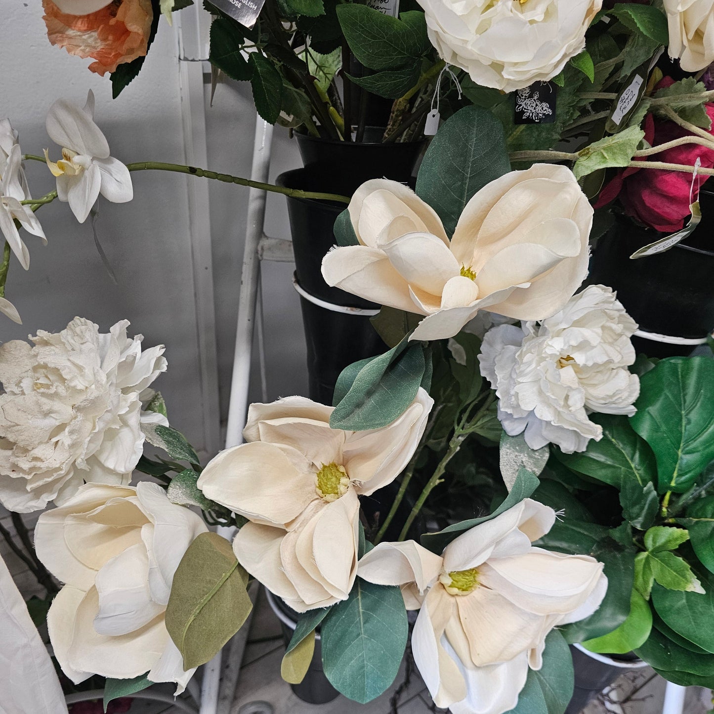 Large cream magnolia blossoms,