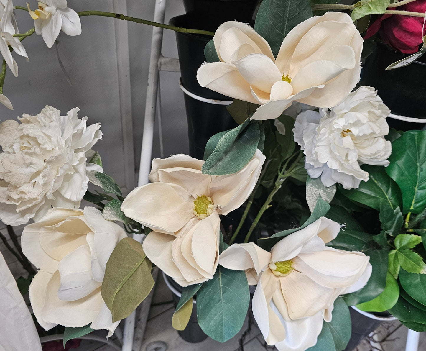 White silk magnolia