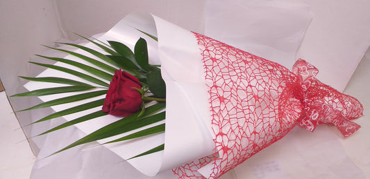 Single Rose - Broadfield Flowers Florist Lincoln