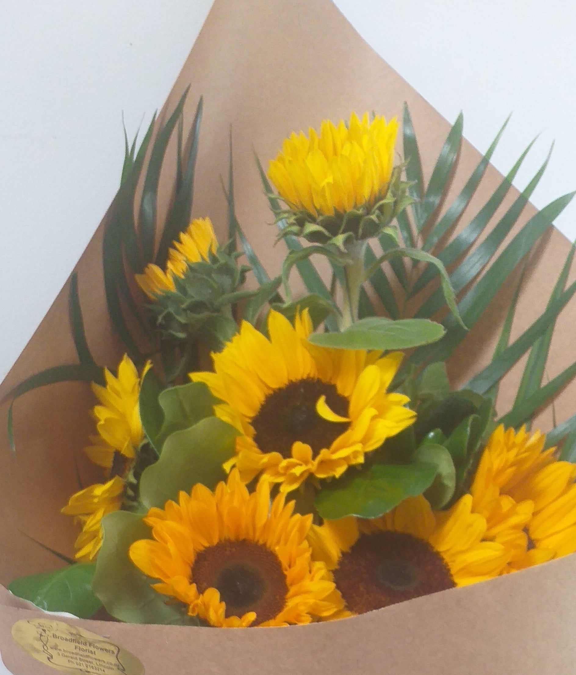 Sunflower Sunshine - Broadfield Flowers Florist Lincoln