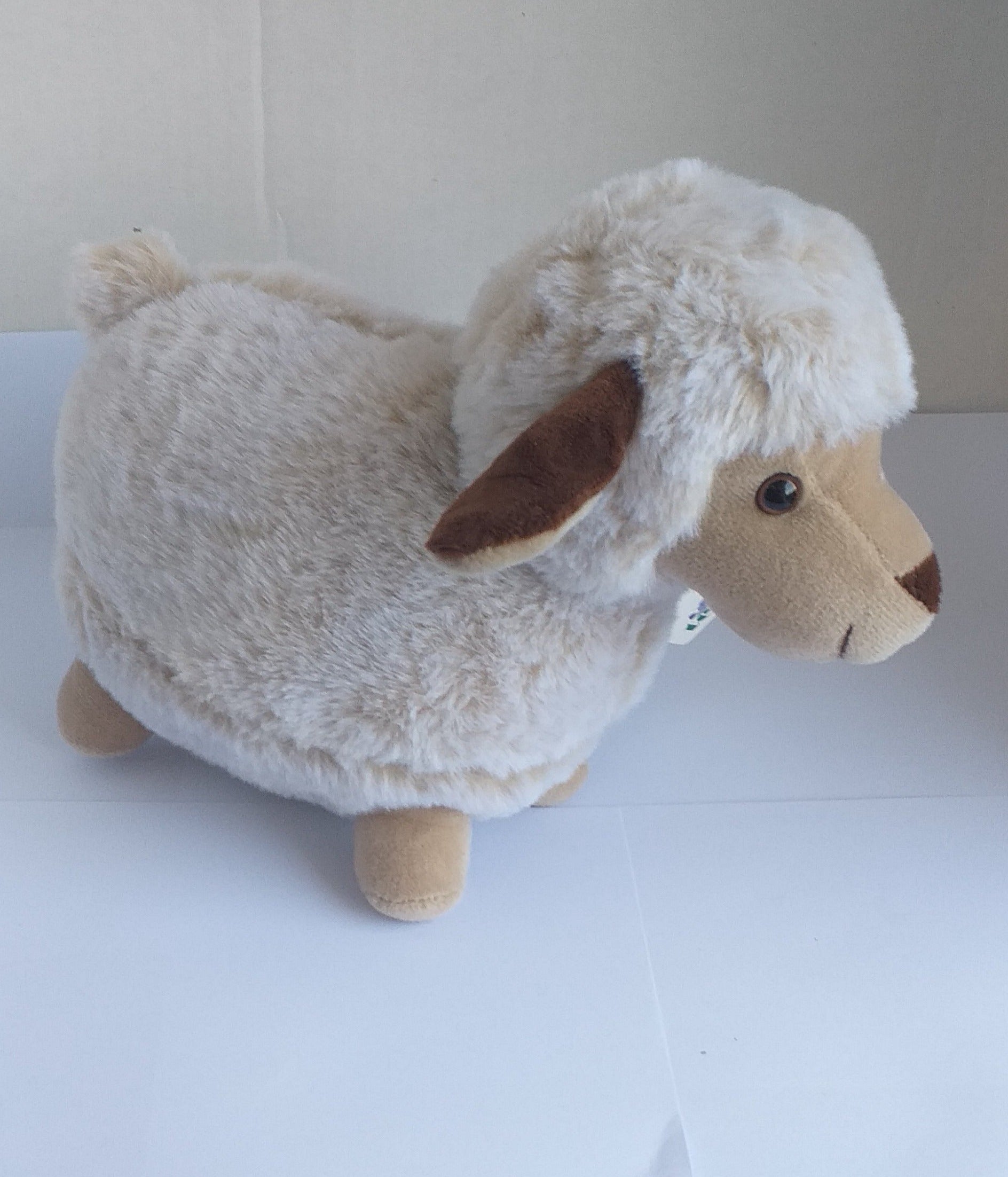 Soft Toy, Lamb - Broadfield Flowers Florist Lincoln