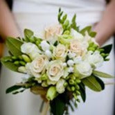 Bridal bouquet made with apricot and white roses, white freesias and rhododendron leaves