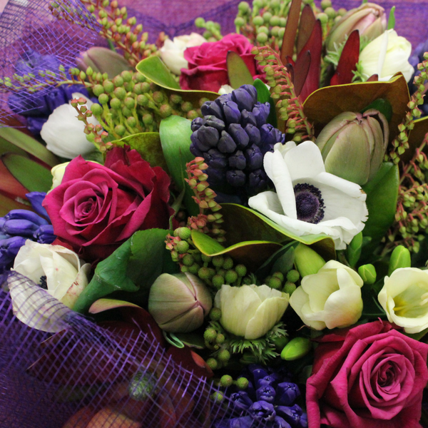 Bouquet of burgundy, hot pink, white and purple. Flowers include hot pink roses, leucadendron, sweet peas, anemone, freesias. Wrapped in burgundy and purple
