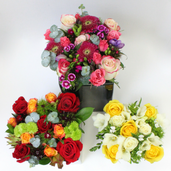 Pretty in a pot, pink, purple, white, green, orange, yellow. roses, sweet william, chrysthemum, freesias - Broadfield Flowers Florist Lincoln