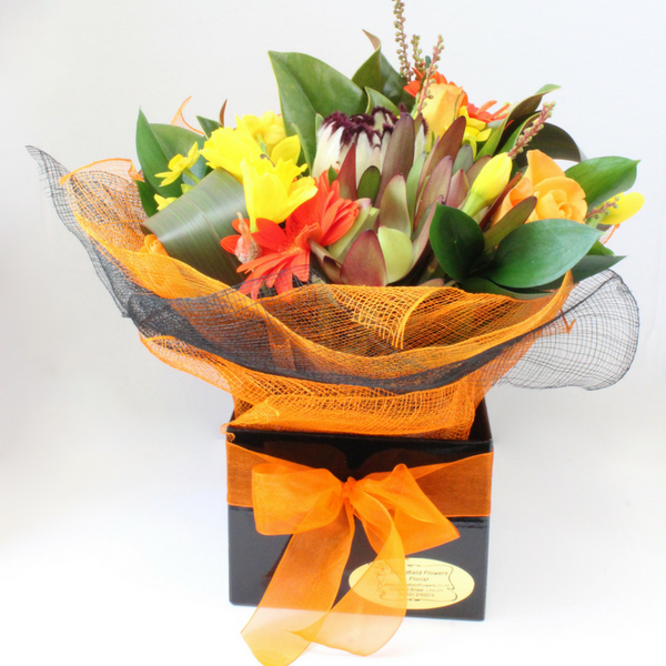 Bright Bunch in a Box with red and orange gerberas, white proteas, roses, yellow chrysanthemums, wrapped in purple and orange in a black box- Broadfield Flowers Florist Lincoln