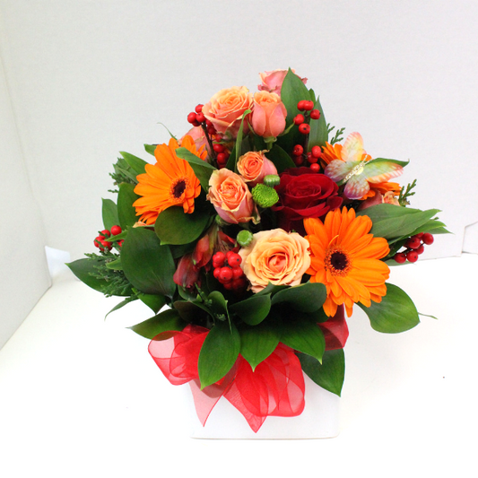 African Sunset Posy Box flower arrangement, orange gerberas, red roses, butterfly, berries, white, roses - Broadfield Flowers Florist Lincoln