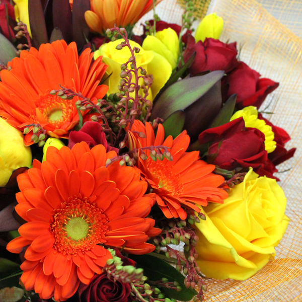 Hot Stuff flower bouquet, red roses, orange gerberas, yellow, leucadendron- Broadfield Flowers Florist Lincoln