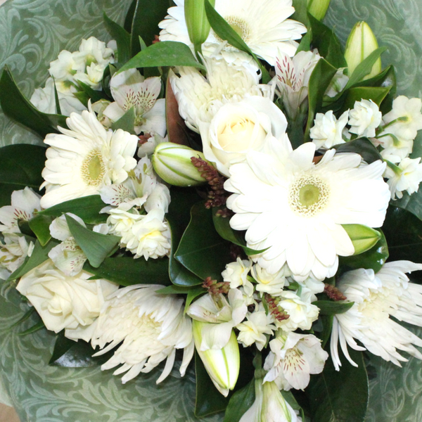 Snow White - Broadfield Flowers Florist Lincoln