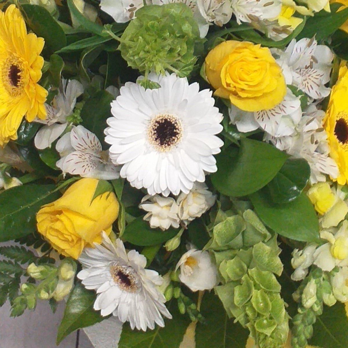 Fresh as Spring flower bouquet, yellow gerberas, bells of ireland, snap dragons, yellow roses, fern, alstroemeria, early cheer, wrapped in yellow